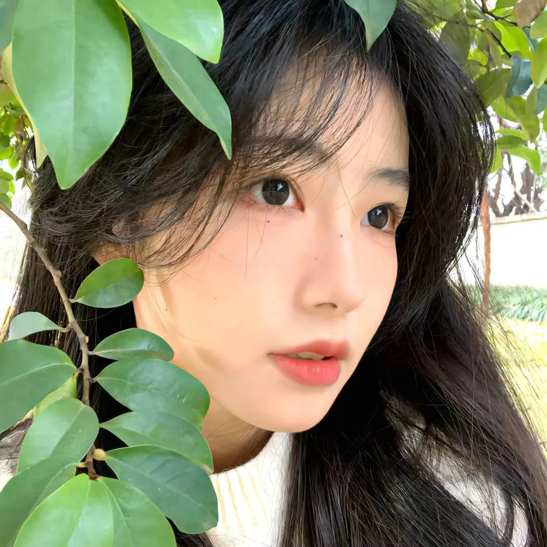 拳击少女和爆疯大叔